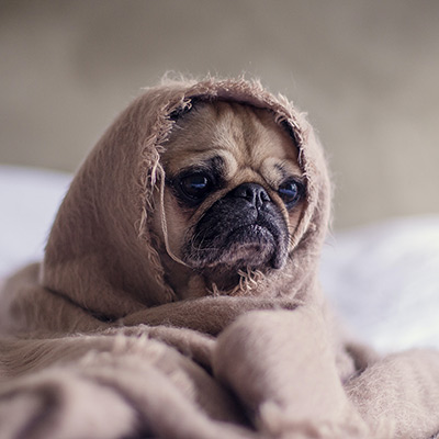 Sad and unmotivated