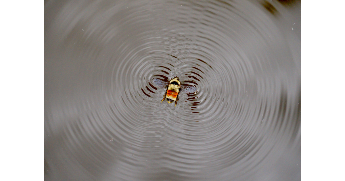 The Intereference Effect part two